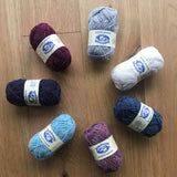 Knitting Kit for Tina's Collection